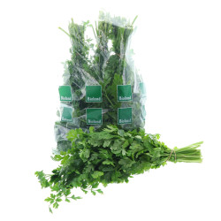 BIO PERSIL PLAT 50PCS